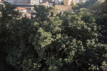 Studio à venda com 60m², 1 quarto e sem vagaVista da Varanda