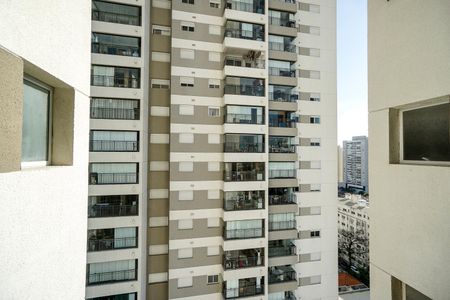 Apartamento à venda com 109m², 3 quartos e 2 vagasVista da suíte 01