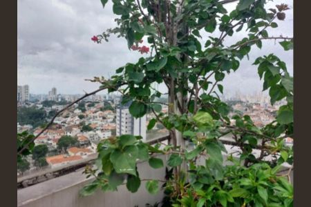 Apartamento à venda com 4 quartos, 200m² em Jardim da Saúde, São Paulo