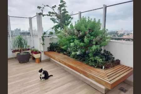 Apartamento à venda com 4 quartos, 200m² em Jardim da Saúde, São Paulo