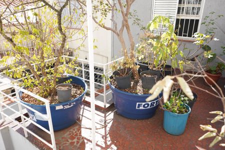 Casa para alugar com 180m², 3 quartos e 3 vagasQuintal