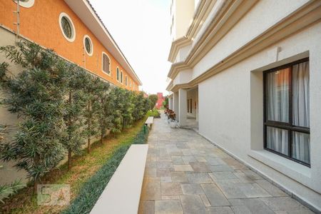 Apartamento para alugar com 77m², 3 quartos e 2 vagasCondomínio 