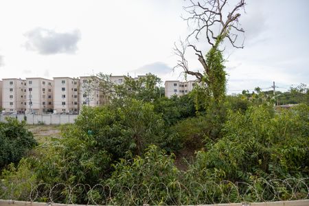 Vista do Quarto 1 de apartamento para alugar com 2 quartos, 41m² em Guaratiba, Rio de Janeiro