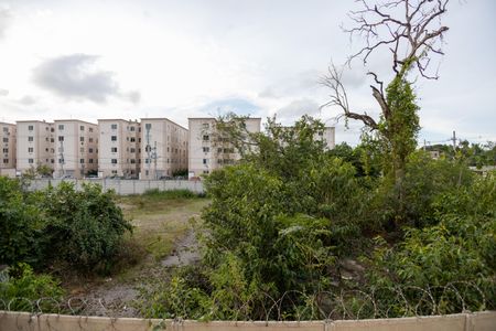 Vista da Sala de apartamento para alugar com 2 quartos, 41m² em Guaratiba, Rio de Janeiro