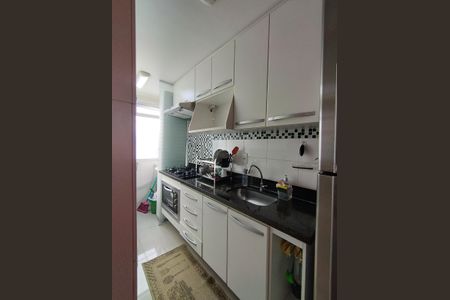 Apartamento à venda com 50m², 3 quartos e 1 vagaCozinha - Armários