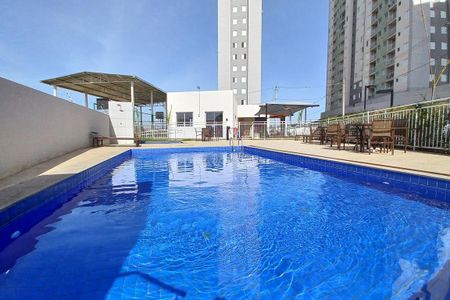 Área comum - Piscina de apartamento para alugar com 2 quartos, 44m² em Jardim Yeda, Campinas