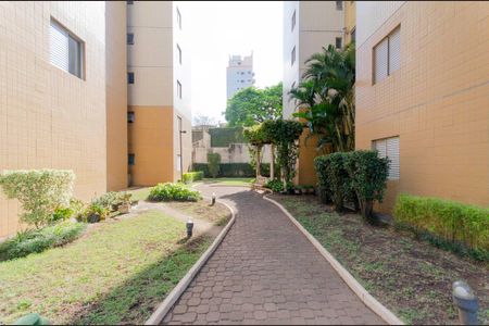 Apartamento à venda com 60m², 3 quartos e 1 vagaÁrea Comum