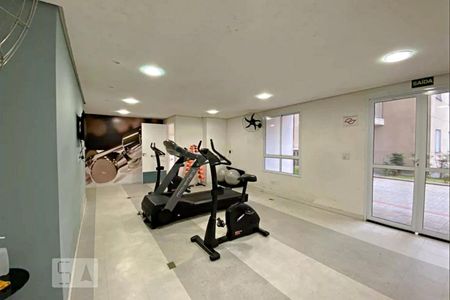 Apartamento para alugar com 60m², 2 quartos e sem vagaAcademia