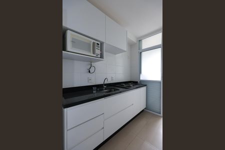 Apartamento para alugar com 60m², 2 quartos e sem vagaCozinha