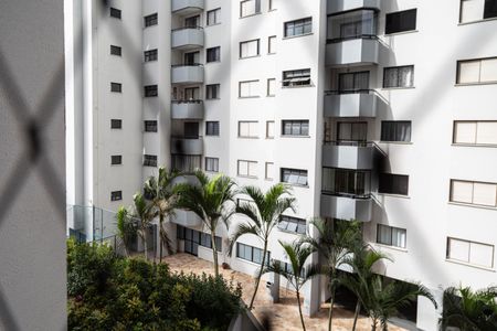 Apartamento para alugar com 73m², 3 quartos e 2 vagas Apartamento para alugar com 73m², 3 quartos e 2 vagasSacada/Sala