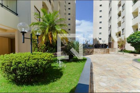 Apartamento para alugar com 73m², 3 quartos e 2 vagas Apartamento para alugar com 73m², 3 quartos e 2 vagasÁrea comum