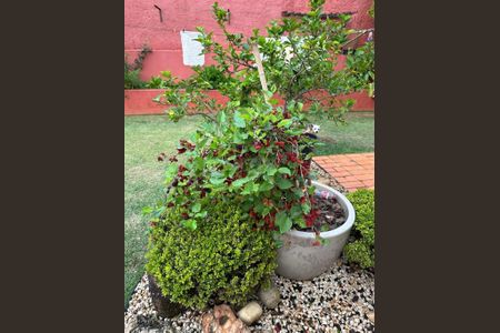 Casa à venda com 370m², 6 quartos e 2 vagas