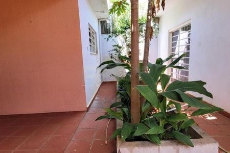Casa à venda com 288m², 3 quartos e 4 vagas