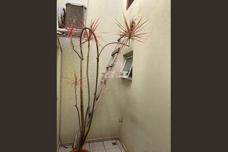 Casa à venda com 181m², 3 quartos e 2 vagas