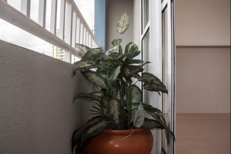 Kitnet/Studio à venda com 1 quarto, 53m² em Chácara Inglesa, São Paulo