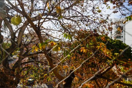 Apartamento à venda com 95m², 3 quartos e 1 vagaVista do Quarto 2