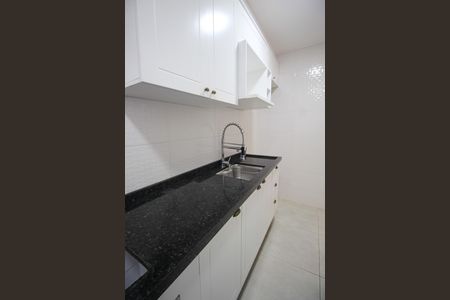 Cozinha de apartamento para alugar com 2 quartos, 42m² em Jardim Maria Duarte, São Paulo