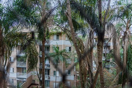 Apartamento para alugar com 54m², 2 quartos e 1 vaga Apartamento para alugar com 54m², 2 quartos e 1 vagaVista do Quarto 1