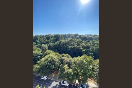 Apartamento à venda com 224m², 4 quartos e 3 vagasFoto 29