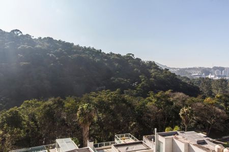 Casa de condomínio à venda com 385m², 4 quartos e 4 vagasVista da Varanda da Suíte 