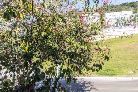 Casa de condomínio à venda com 385m², 4 quartos e 4 vagasVista da Varanda da Suíte 2