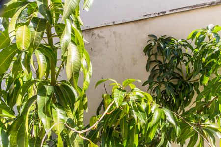 Casa de condomínio à venda com 385m², 4 quartos e 4 vagasVista da Suíte 3