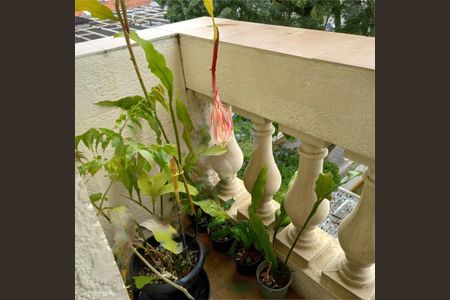 Apartamento à venda com 116m², 2 quartos e 1 vaga