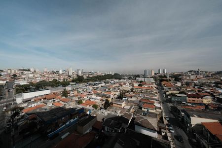 Cozinha de apartamento para alugar com 2 quartos, 33m² em Vila Pierina, São Paulo
