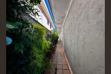 Casa para alugar com 400m², 4 quartos e 4 vagas Casa para alugar com 400m², 4 quartos e 4 vagasQuintal