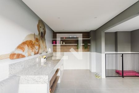 Apartamento para alugar com 30m², 1 quarto e sem vaga Apartamento para alugar com 30m², 1 quarto e sem vagaEspaço Pet