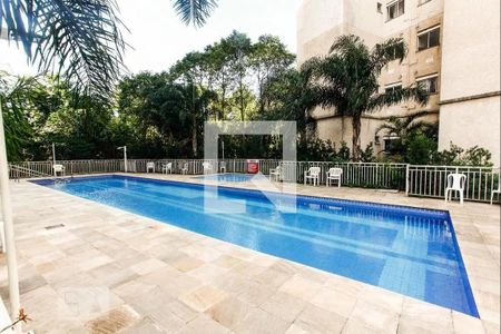 Área comum - Piscina de apartamento para alugar com 2 quartos, 48m² em Jardim Bela Vista, Guarulhos