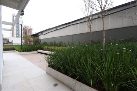 Área comum - Jardim de apartamento para alugar com 2 quartos, 77m² em Vila Mariana, São Paulo