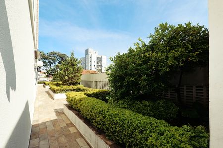 Apartamento para alugar com 76m², 3 quartos e 2 vagasÁrea comum