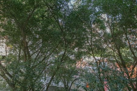 Apartamento à venda com 89m², 2 quartos e 1 vaga Apartamento à venda com 89m², 2 quartos e 1 vagaVista do Quarto 2