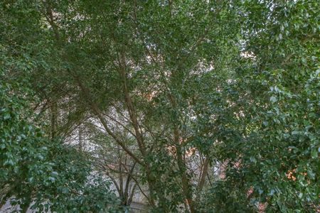 Apartamento à venda com 89m², 2 quartos e 1 vaga Apartamento à venda com 89m², 2 quartos e 1 vagaVista do Quarto 1