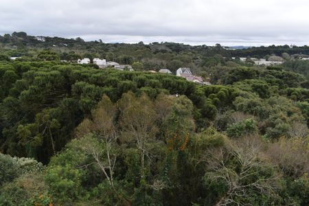 Apartamento para alugar com 60m², 3 quartos e 1 vagaVista do Quarto 3