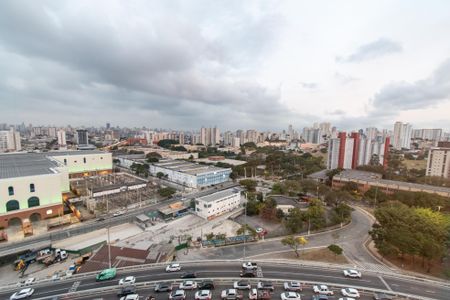 Apartamento à venda com 58m², 3 quartos e 1 vagaVista da suíte