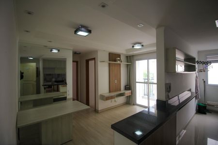 Sala de apartamento para alugar com 2 quartos, 55m² em Vila Ivone, São Paulo