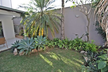 Casa para alugar com 402m², 3 quartos e 4 vagasQuintal