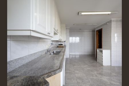 Apartamento para alugar com 637m², 4 quartos e 4 vagasCozinha