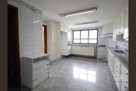 Apartamento para alugar com 637m², 4 quartos e 4 vagasCozinha