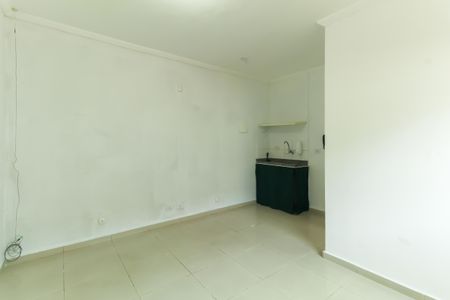 Studio de kitnet/studio para alugar com 1 quarto, 30m² em Belenzinho, São Paulo