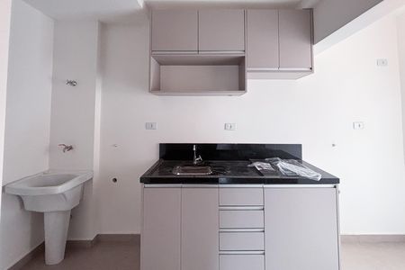 Cozinha de apartamento para alugar com 1 quarto, 28m² em Vila Lucia, São Paulo
