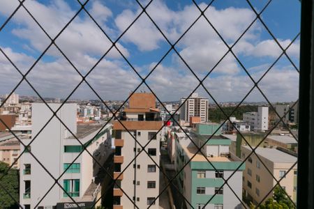 Vista de apartamento para alugar com 3 quartos, 75m² em Castelo, Belo Horizonte