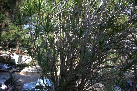 Casa à venda com 480m², 6 quartos e 5 vagas Casa à venda com 480m², 6 quartos e 5 vagasÁrea Externa