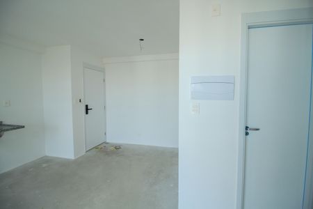 Sala de apartamento para alugar com 2 quartos, 52m² em Belenzinho, São Paulo