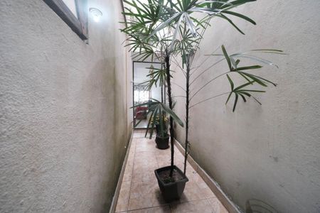 Casa à venda com 156m², 3 quartos e 4 vagasCozinha