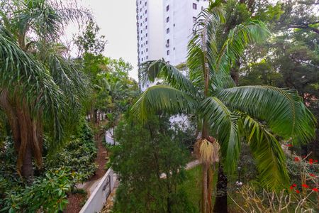 Apartamento à venda com 265m², 4 quartos e 2 vagasQuarto 2 vista