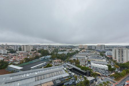 Apartamento para alugar com 266m², 4 quartos e 4 vagasVista da Suite 3