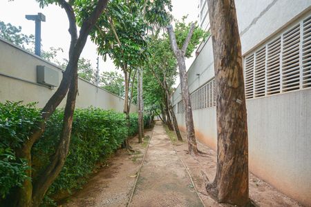 Apartamento para alugar com 266m², 4 quartos e 4 vagasÁrea comum